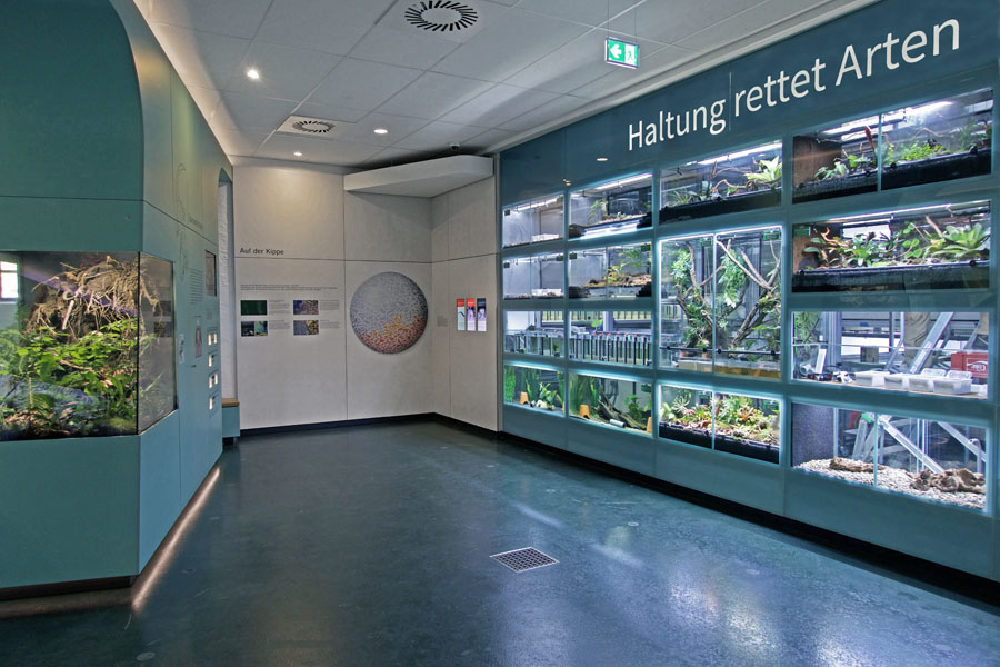 Amphibium Zoo Hannover Artenwand