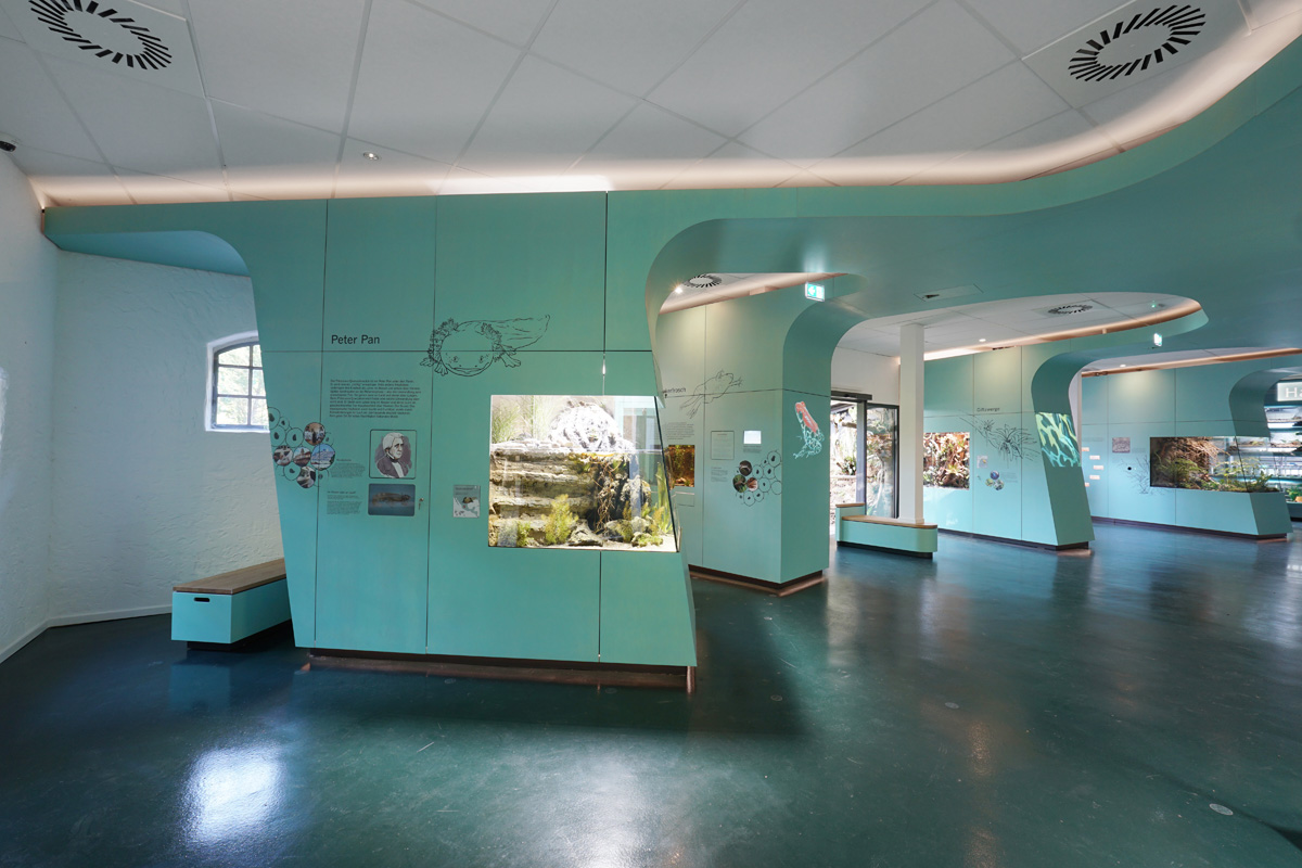 Amphibium Zoo Hannover Seite